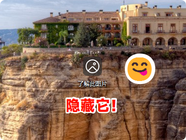 Windows 聚焦隐藏“了解此图片”图标