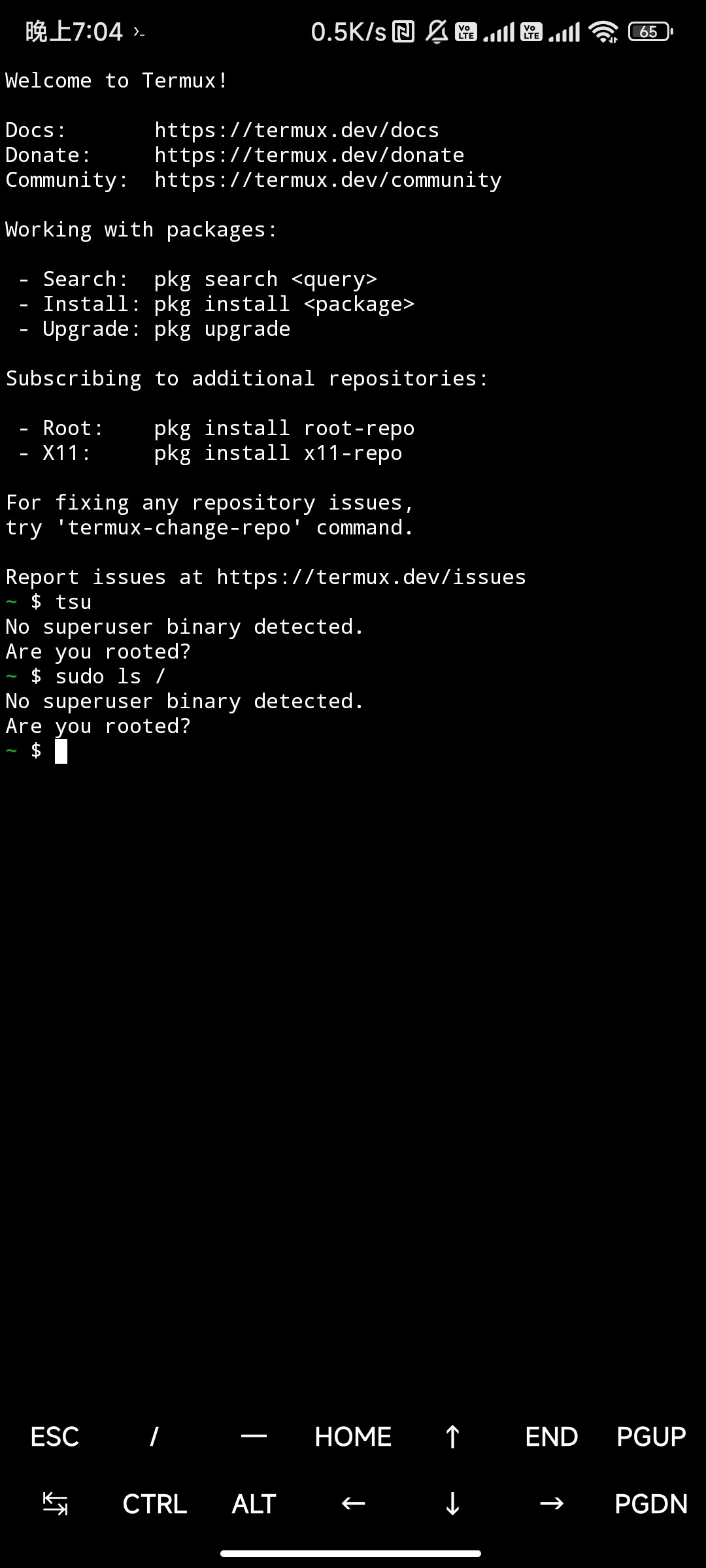 Screenshot_2025-10-29-19-04-09-047_com.termux